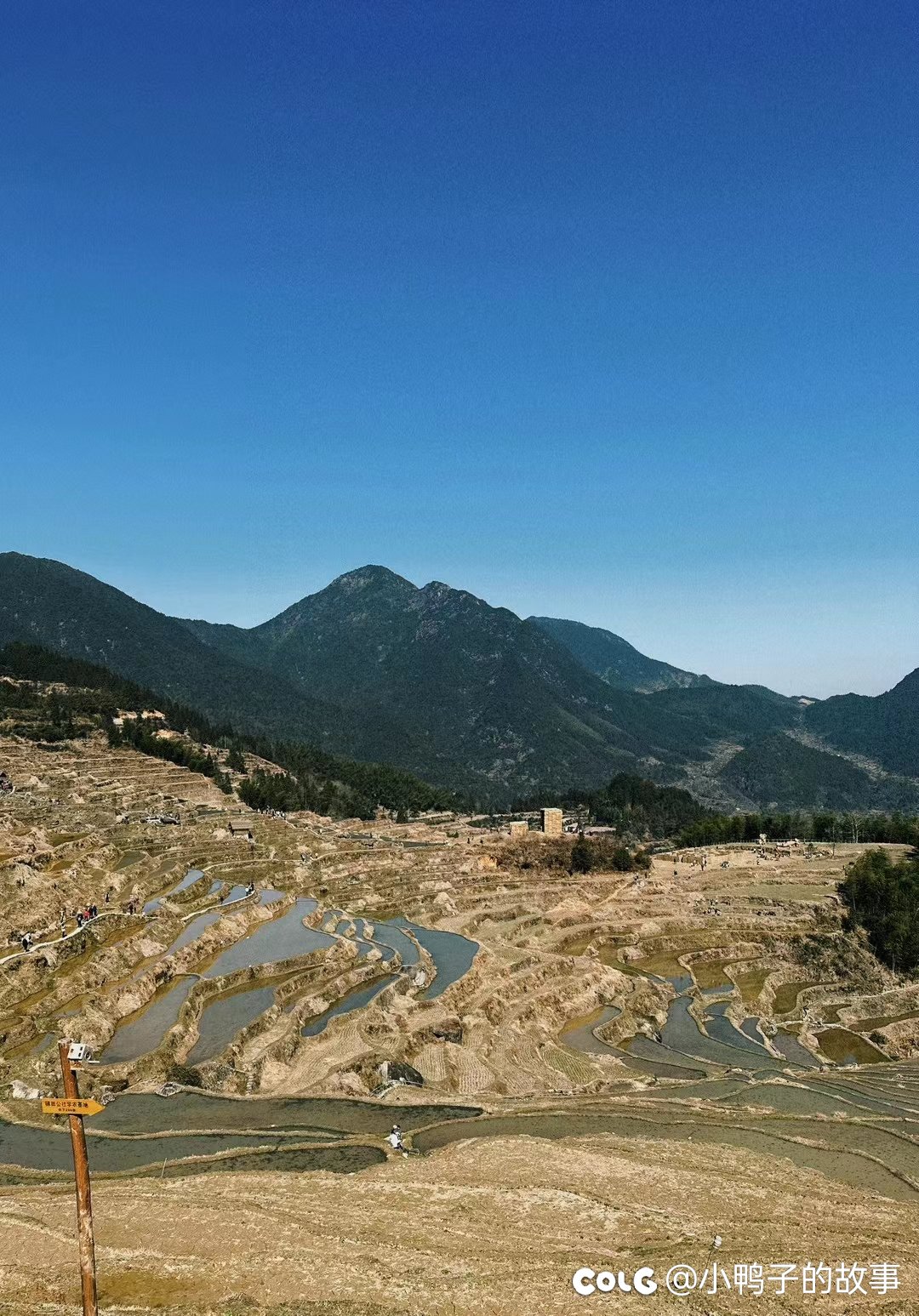 与其在家被催，不如外出旅游1