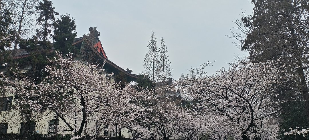 南京Day36