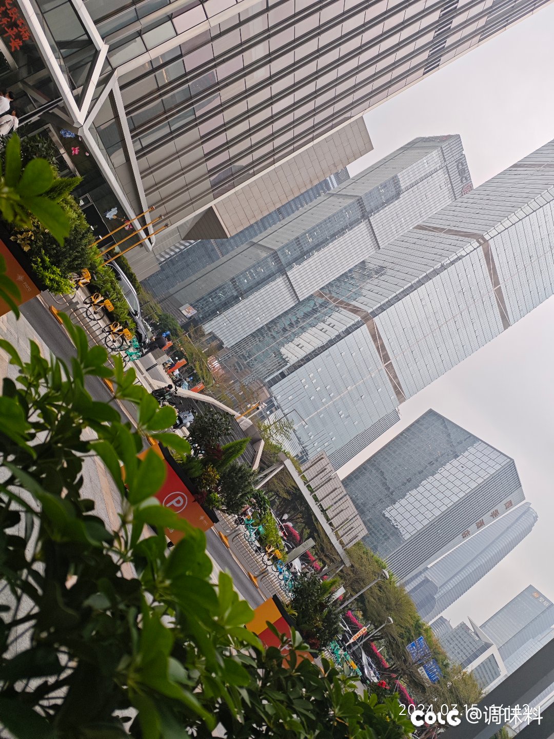 想不明白，想不明白1