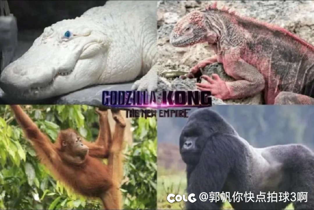 GVK2观后感1