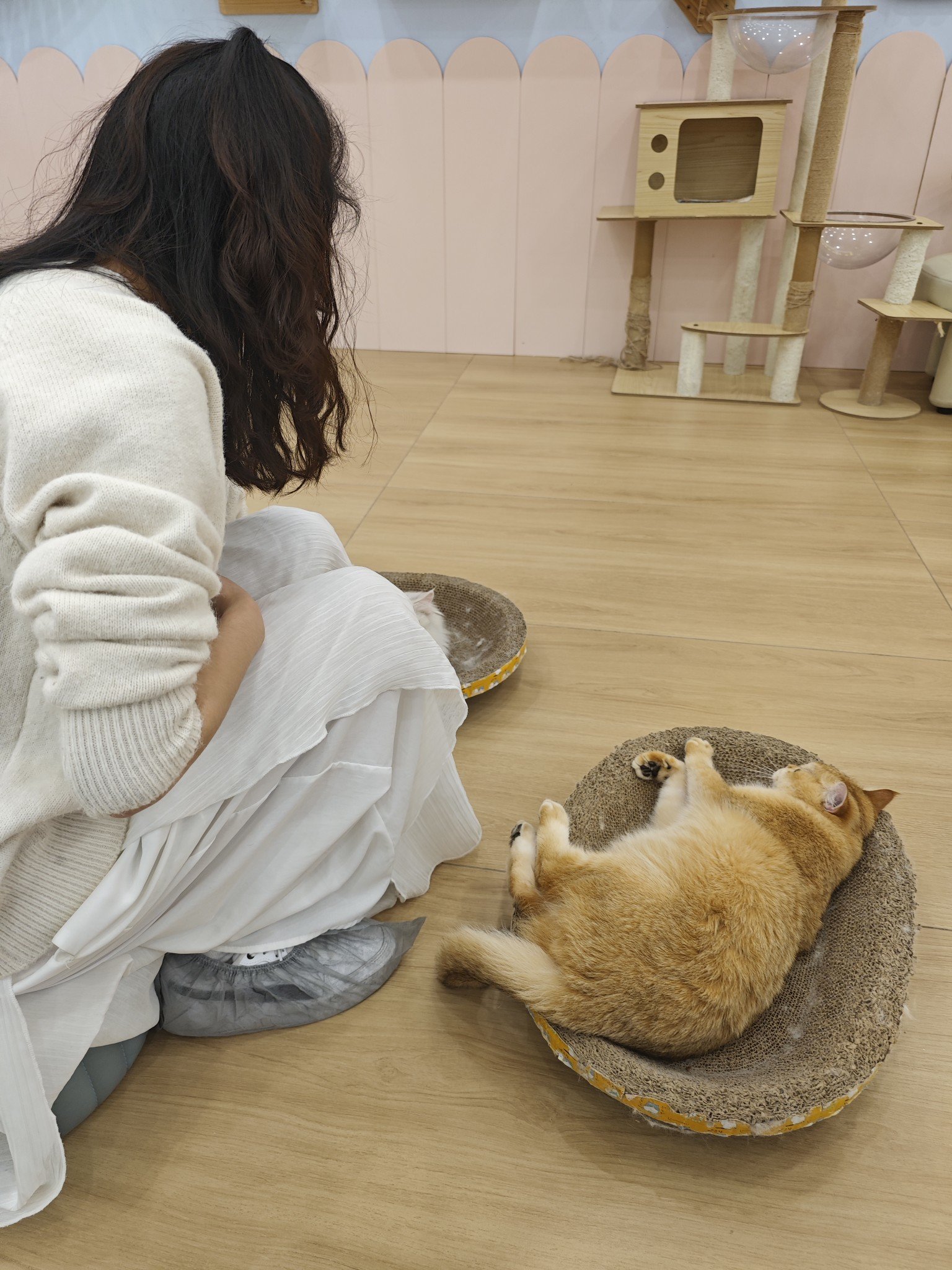 女朋友给我送了小米14u3
