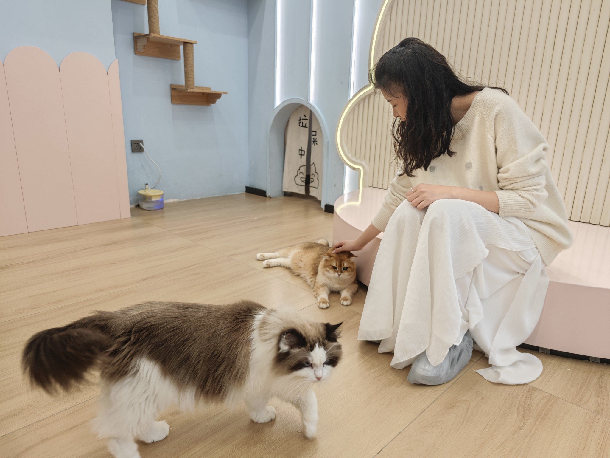 女朋友给我送了小米14u4