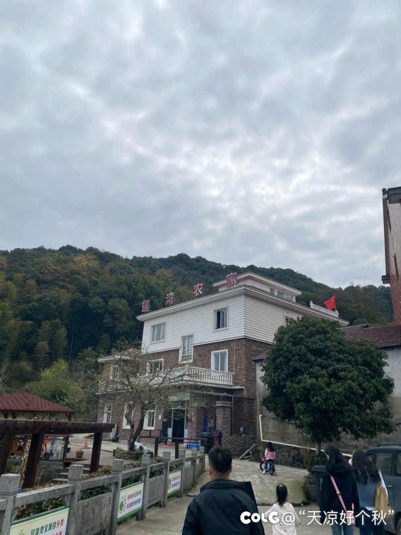 午饭凑合吃个农家乐1