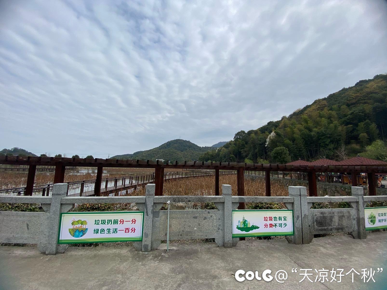 午饭凑合吃个农家乐2