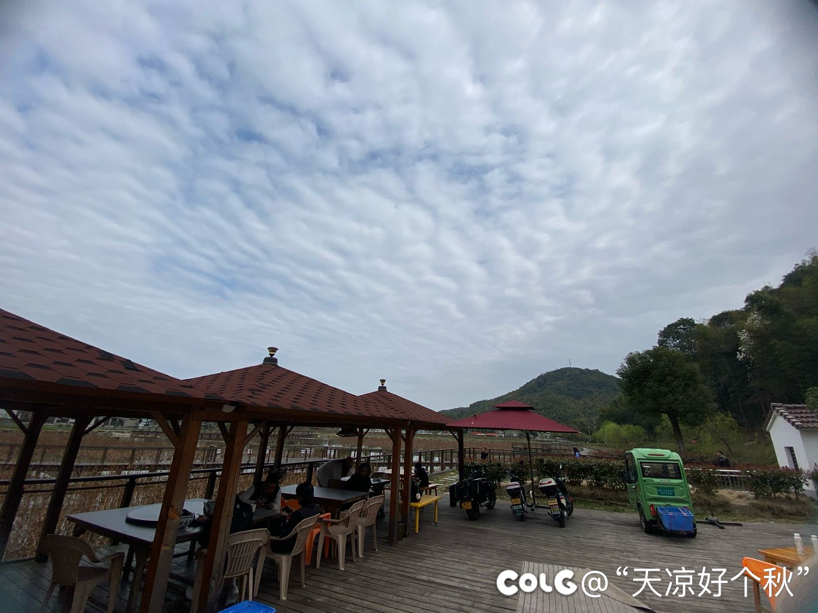 午饭凑合吃个农家乐3