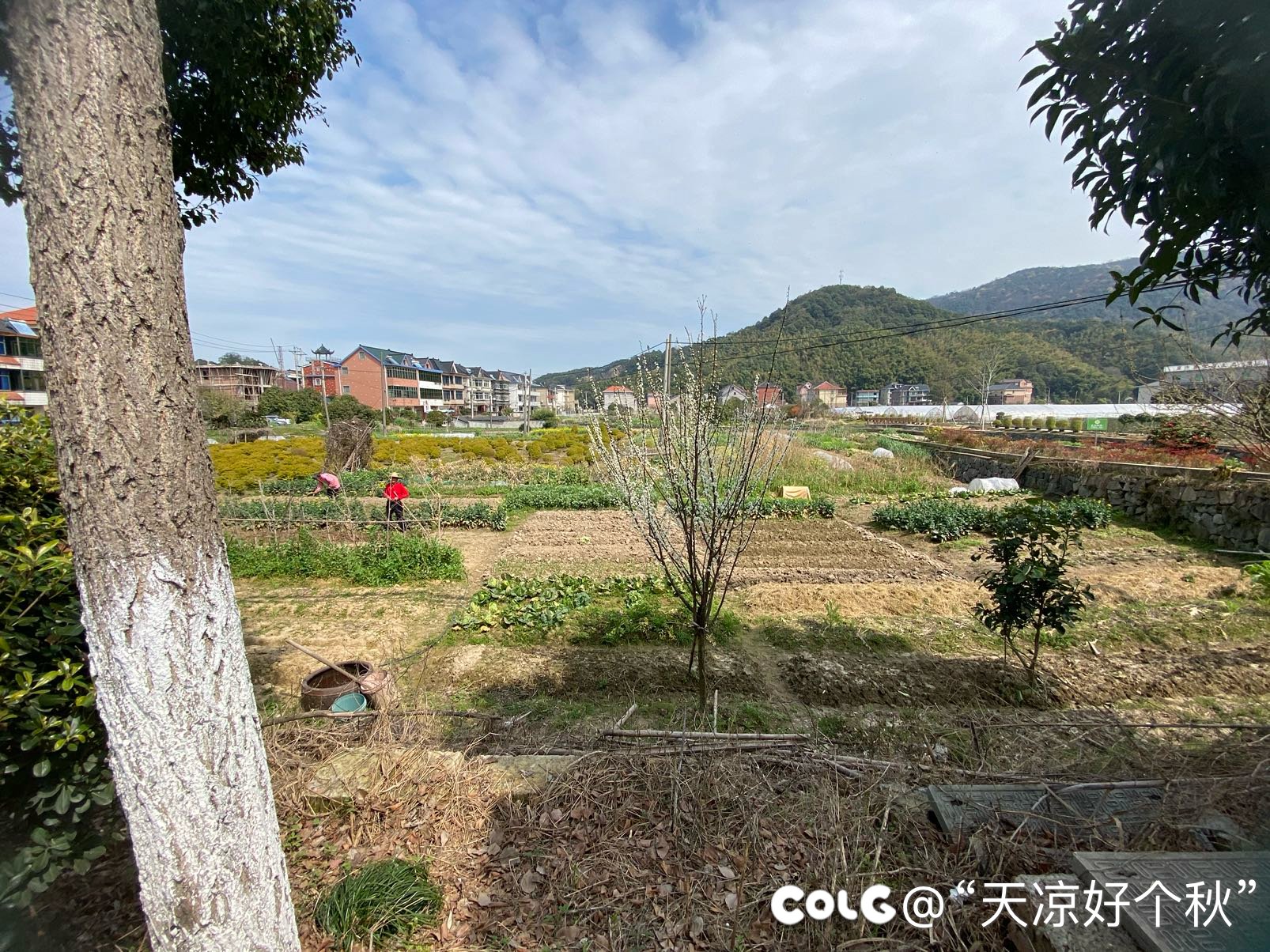来看看杭州农村1