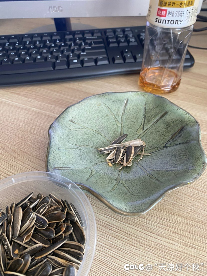 外卖贴心地送了我香瓜子1
