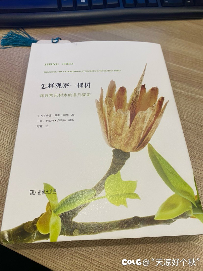 过日子还是得勤俭持家1