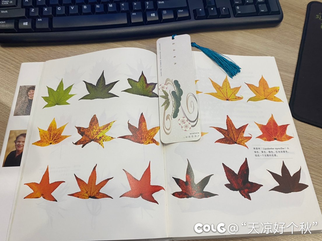过日子还是得勤俭持家4
