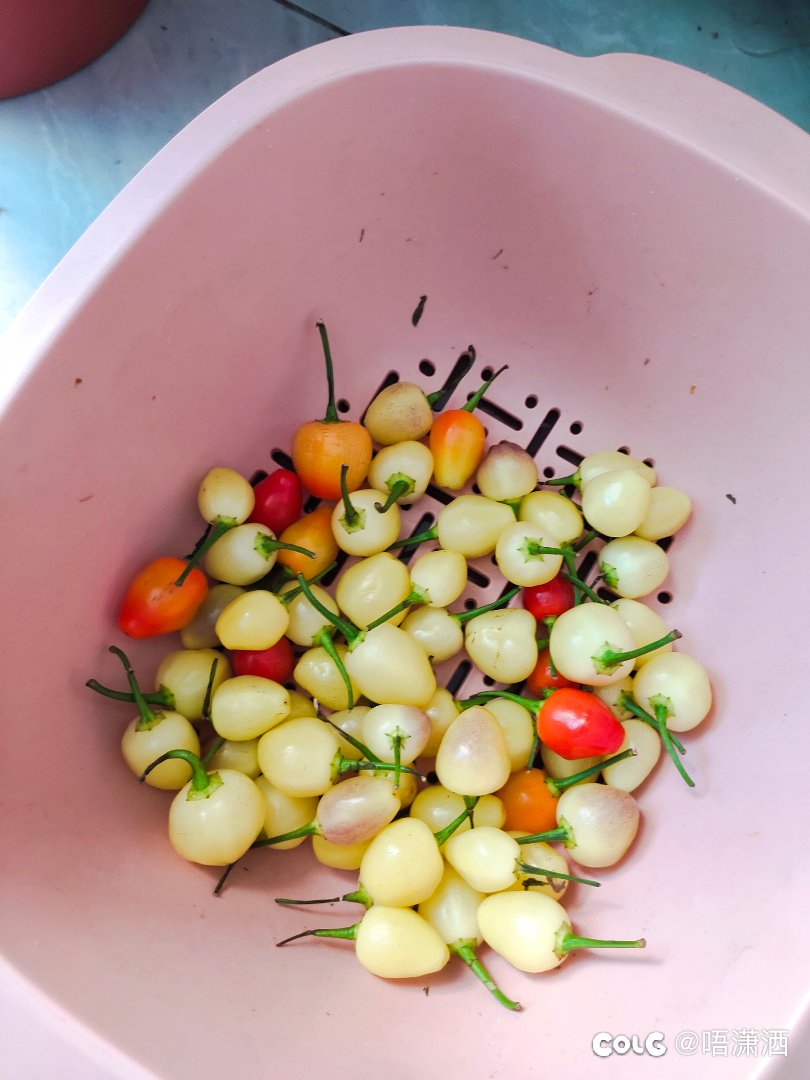 变🐖记：上周不小心把我3.8L泡菜坛子摔了，吸取教训这次搞个小的1