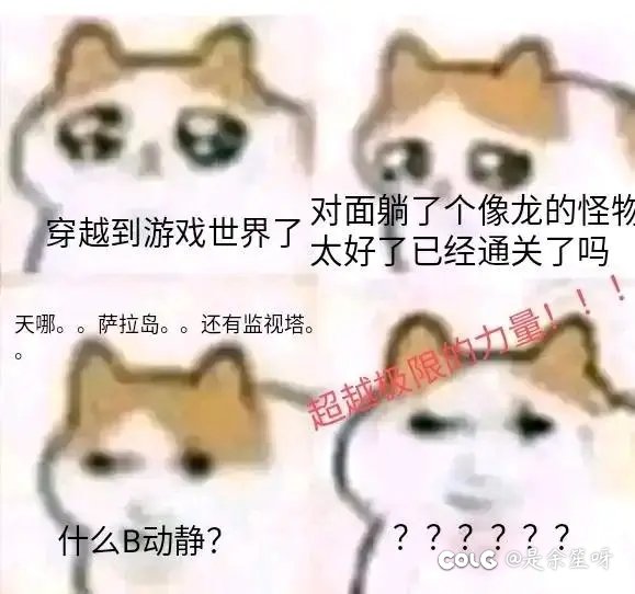 天哪，萨拉岛～还有监视塔～1