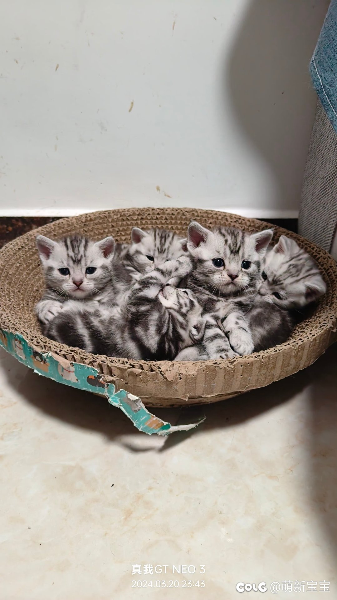 超级奶爸，和他的小奶糖1