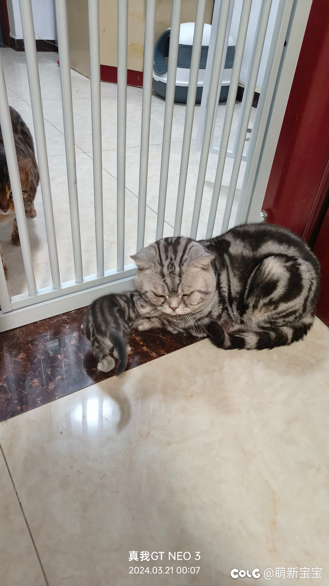 超级奶爸，和他的小奶糖7