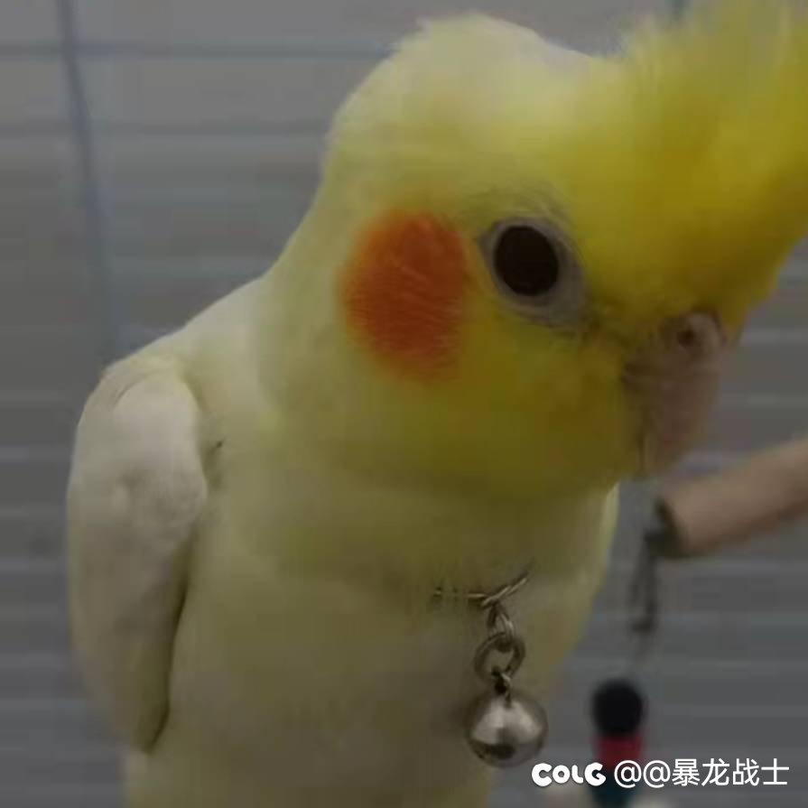 跨6️⃣大团体长期招人，欢迎大家加入【进群后艾特@群主，不然踢出本群】6