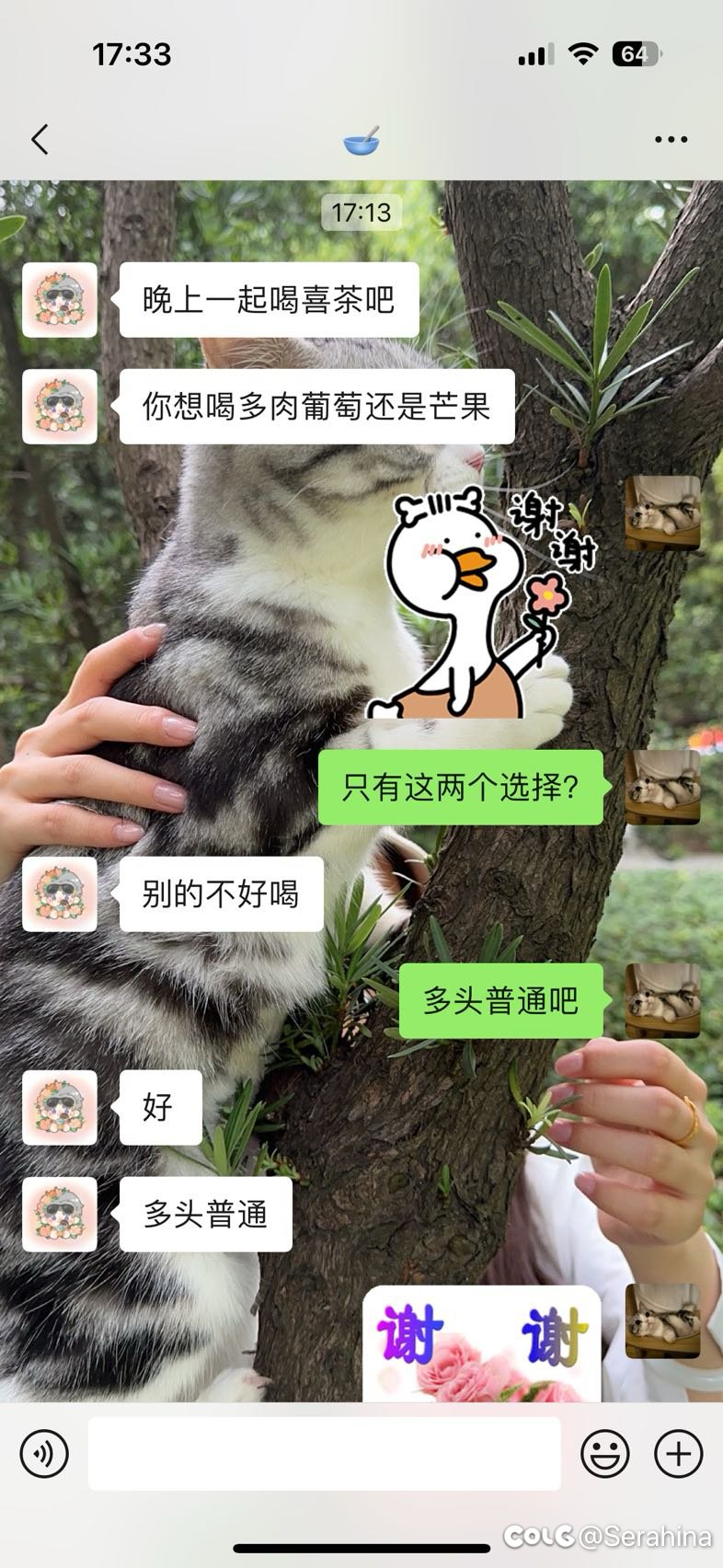 晚上女朋友请我喝喜茶1