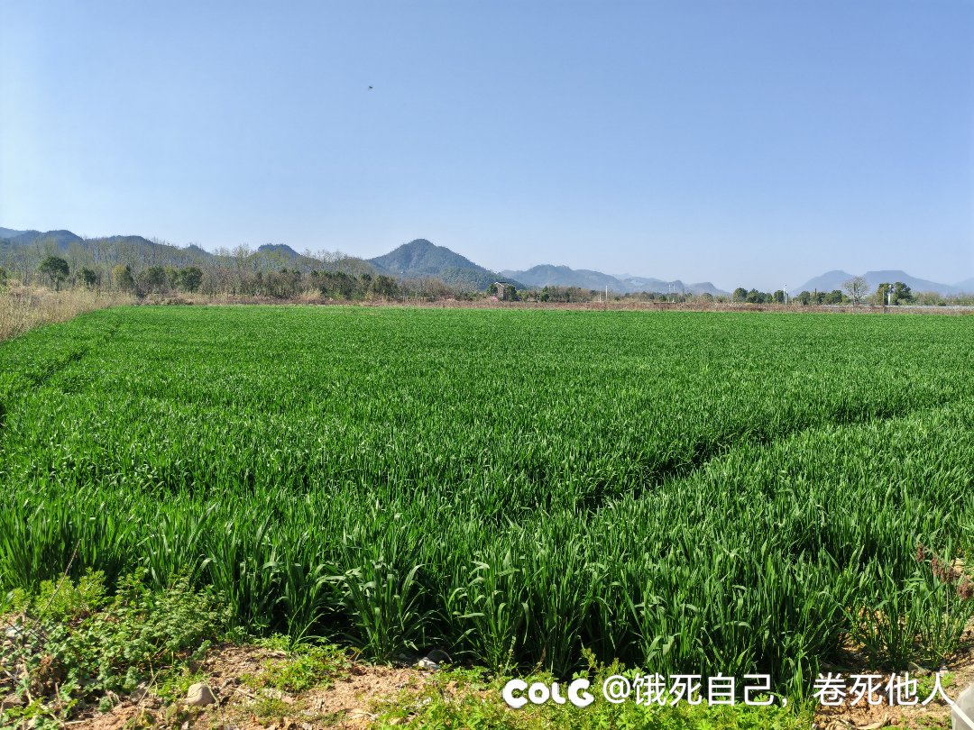 还是家里生活惬意7