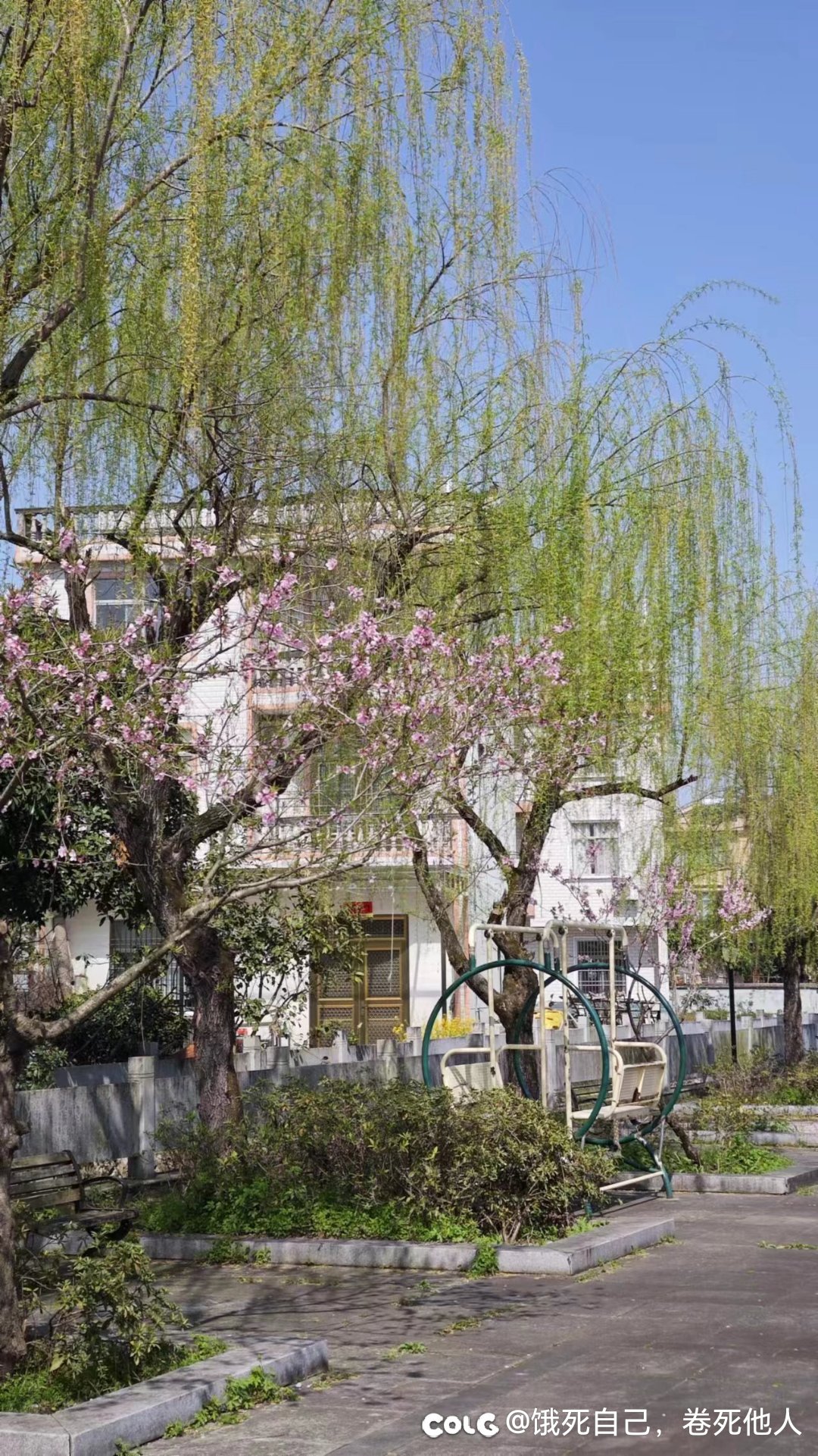 还是家里生活惬意8