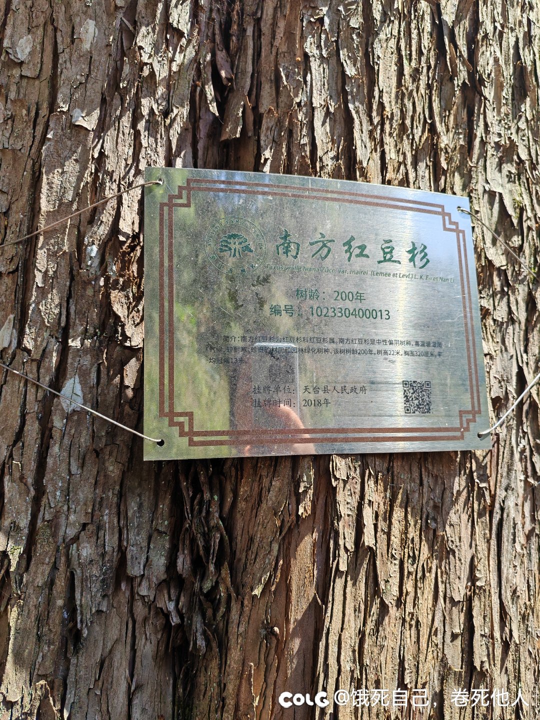 山里老家2