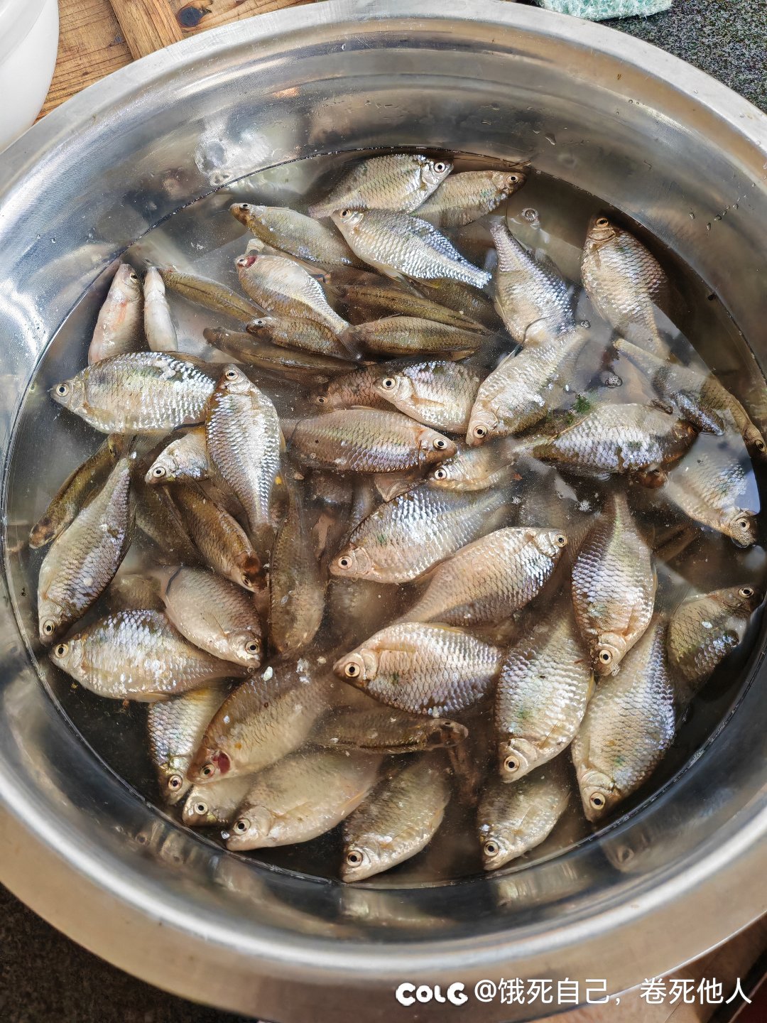 鱼2