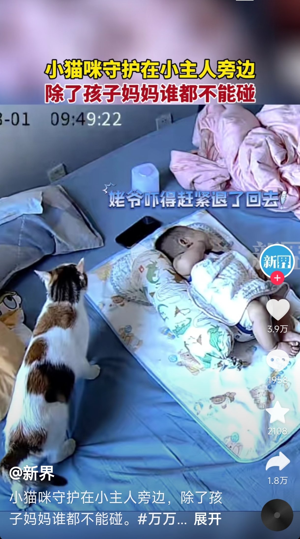 好**的抖音，婴幼儿家庭怎么能养猫呢？1
