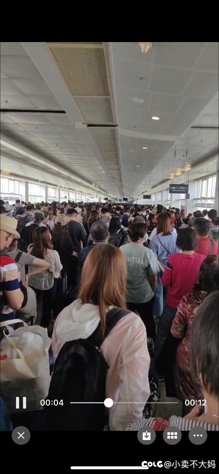 逃离香港的人(1