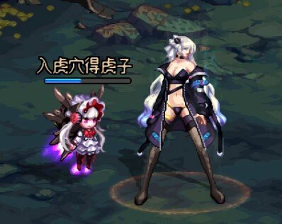 给牡丹跑了几张1