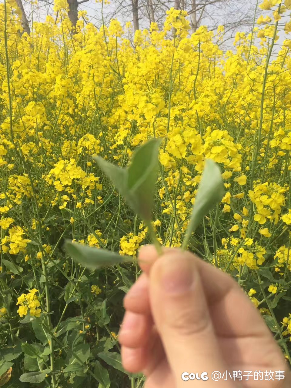 90后的回忆1