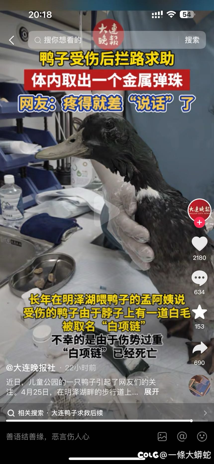 找人求救的🦆死了1