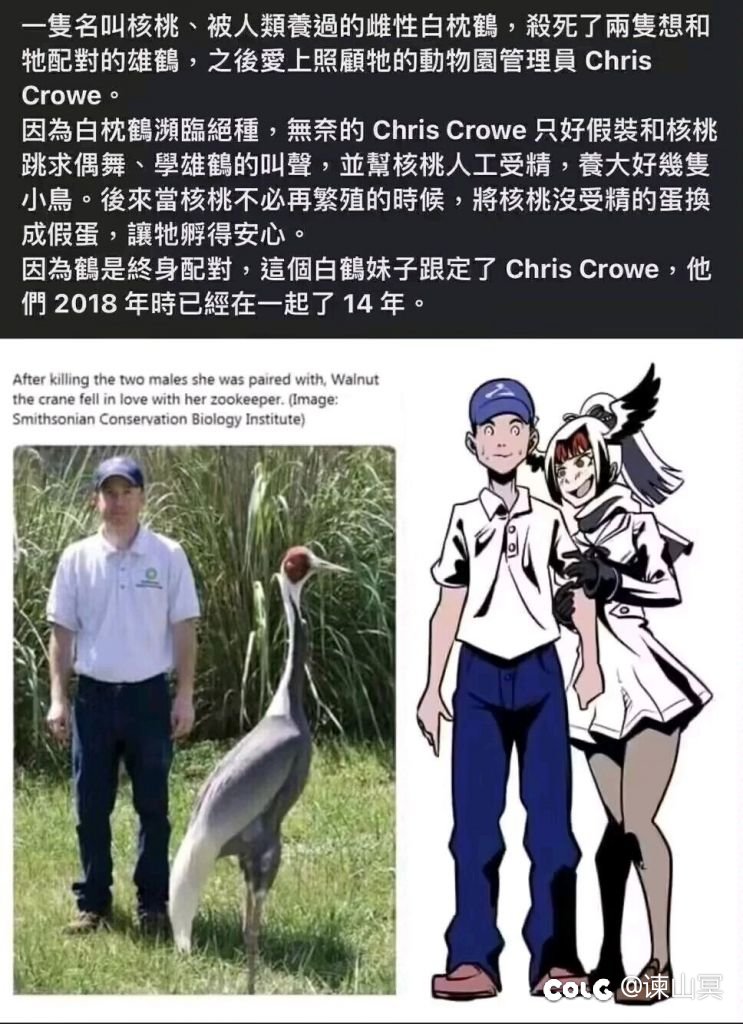 【多图氵】是什么让我坚持连上7天班4