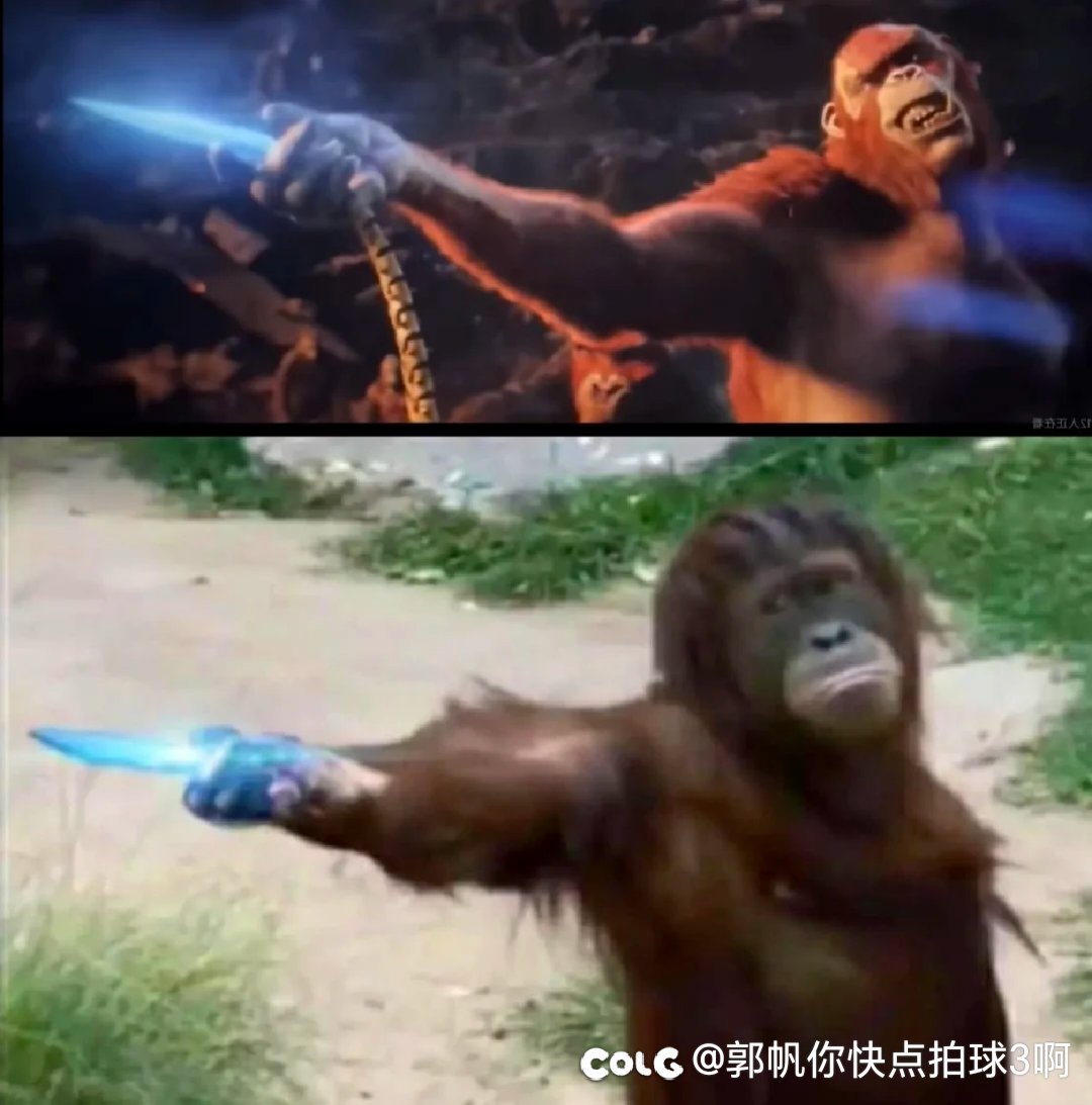 不能说毫不相干，只能说一模一样1
