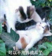 终于毕业了2