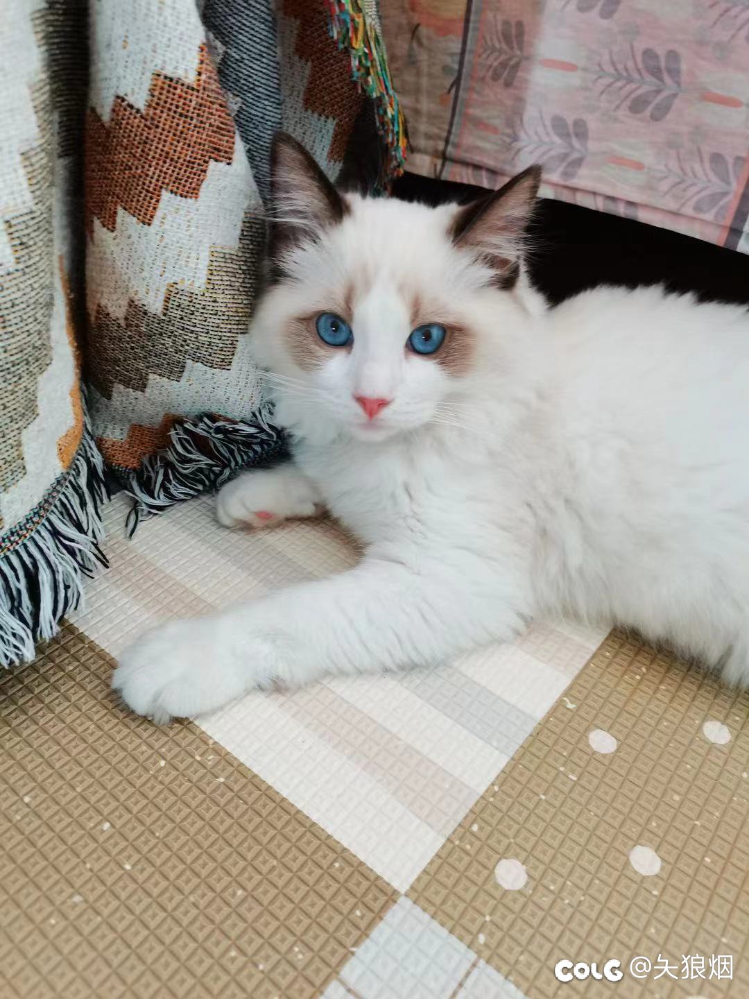 新建工会招人1