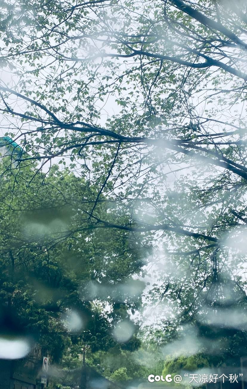 天青色   等烟雨1