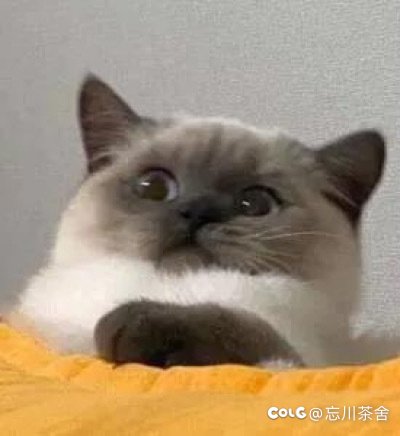 求大佬指教奶系自定义搭配。1