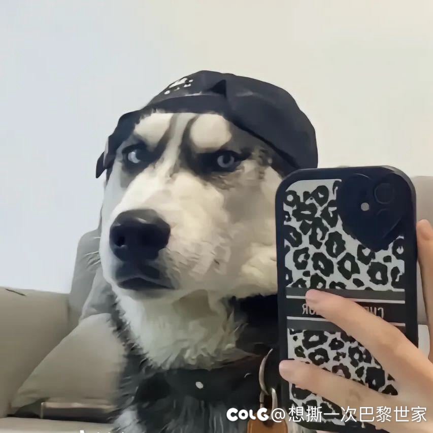 老李老李老李老李1