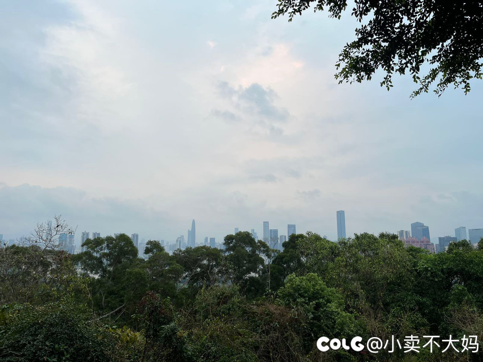 晨起登高3