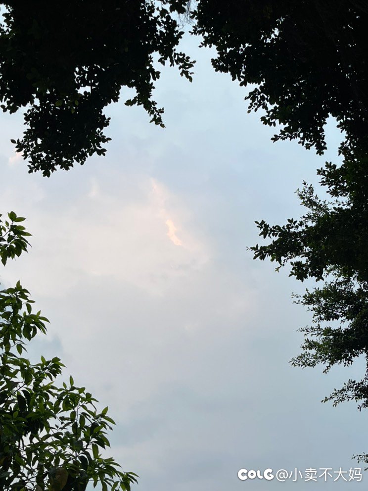 晨起登高2
