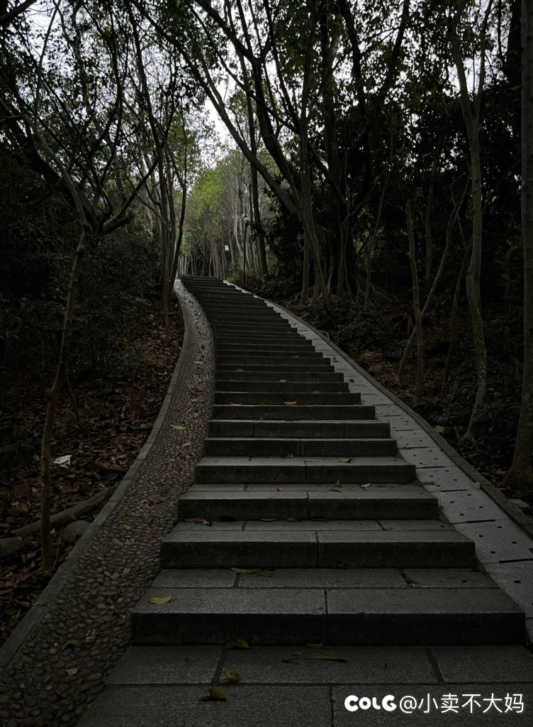晨起登高1