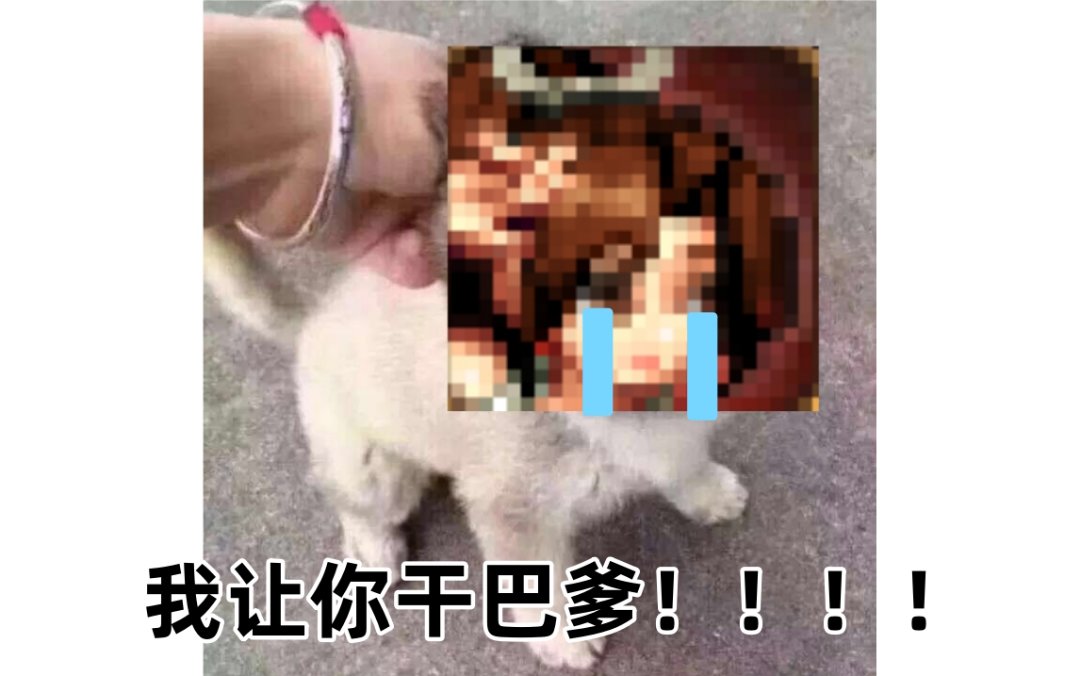 赛丽亚房间火舞闭嘴补丁分享2