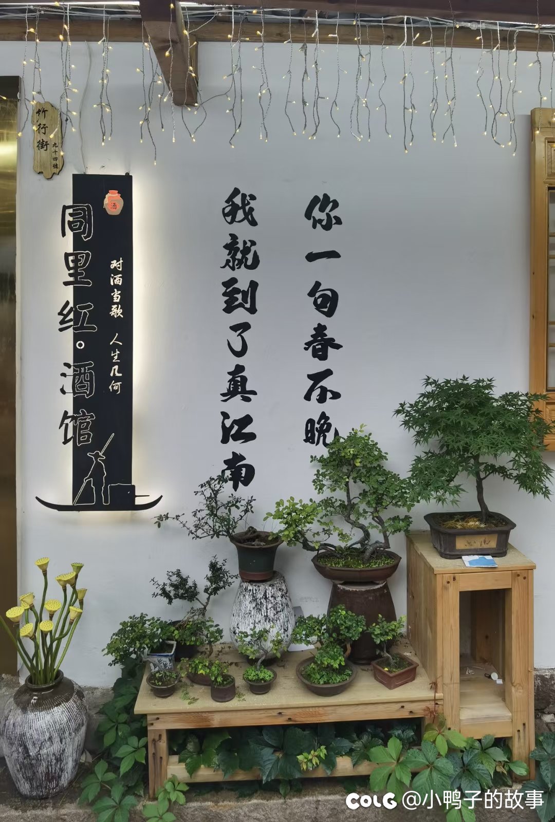 久违的忘崽1