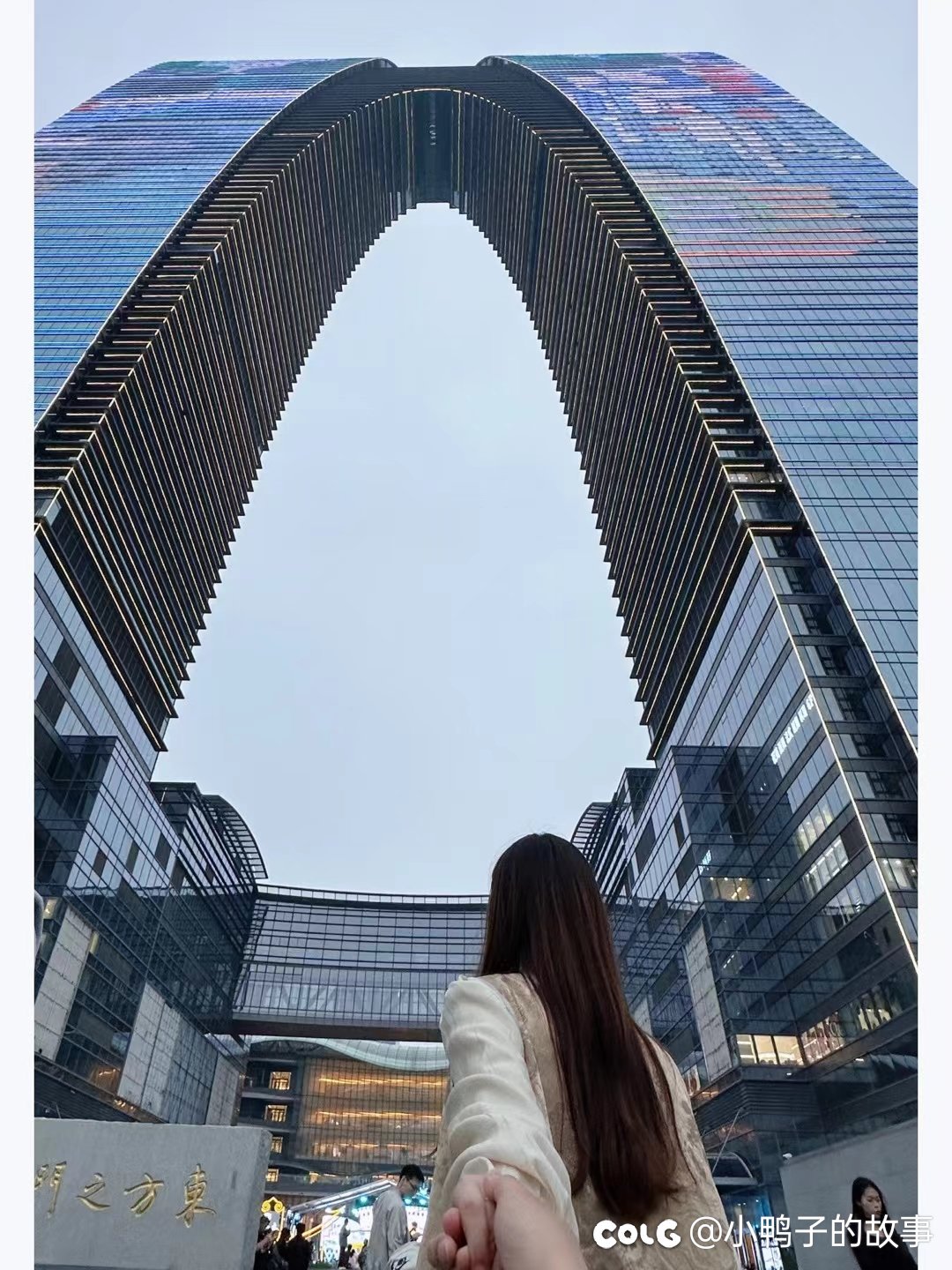 久违的忘崽2