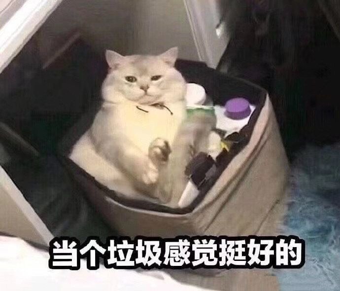 土味剑魔雾神尼毕业打桩堪堪1000E2