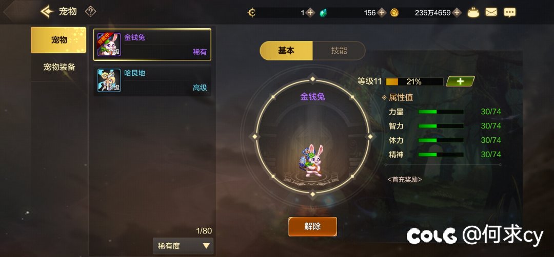 导师礼包宠物出bug被吞了2