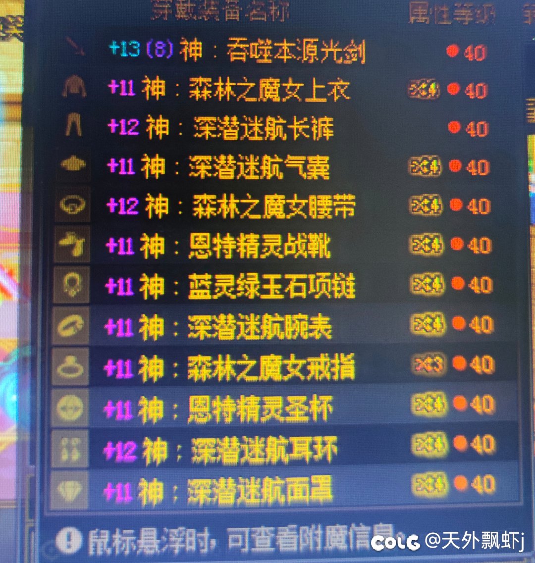 来大佬帮忙看看这个深潜裤子为啥显示0词条2