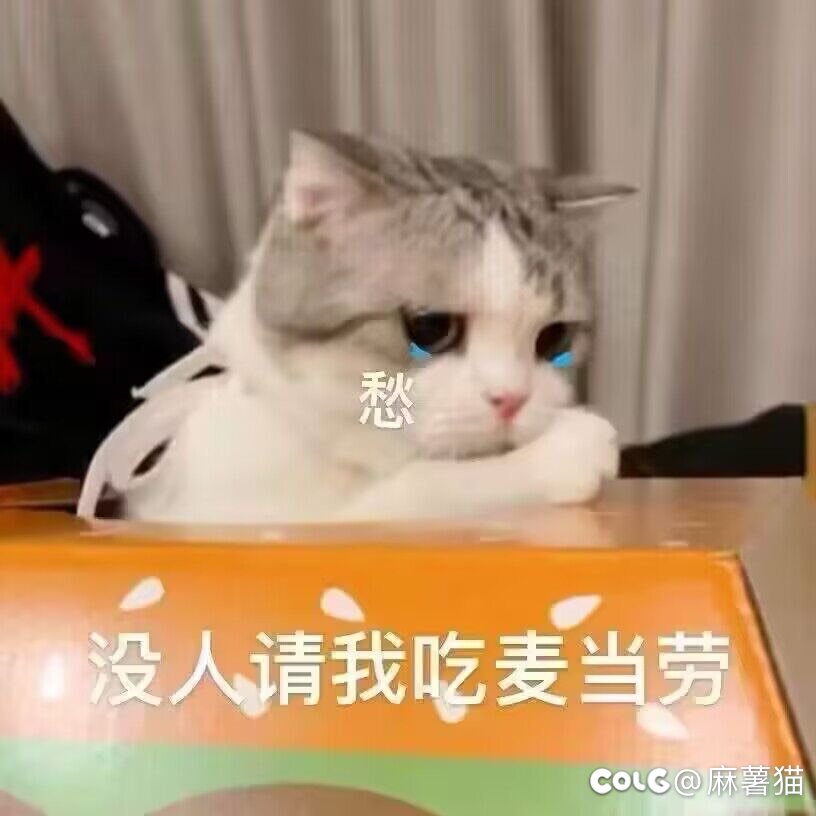 不知不觉又阶段性毕业暂时告一段落了3