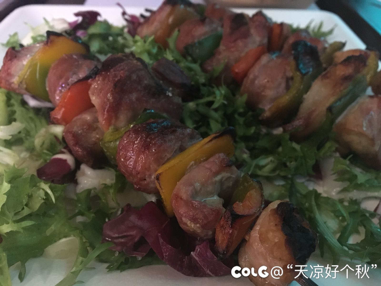 肉与海鲜  望梅止渴的一天2