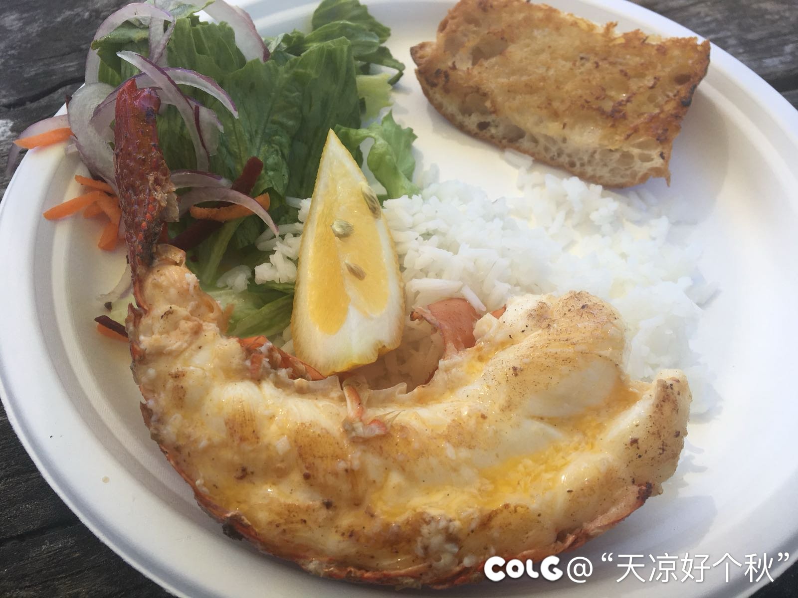 肉与海鲜  望梅止渴的一天4