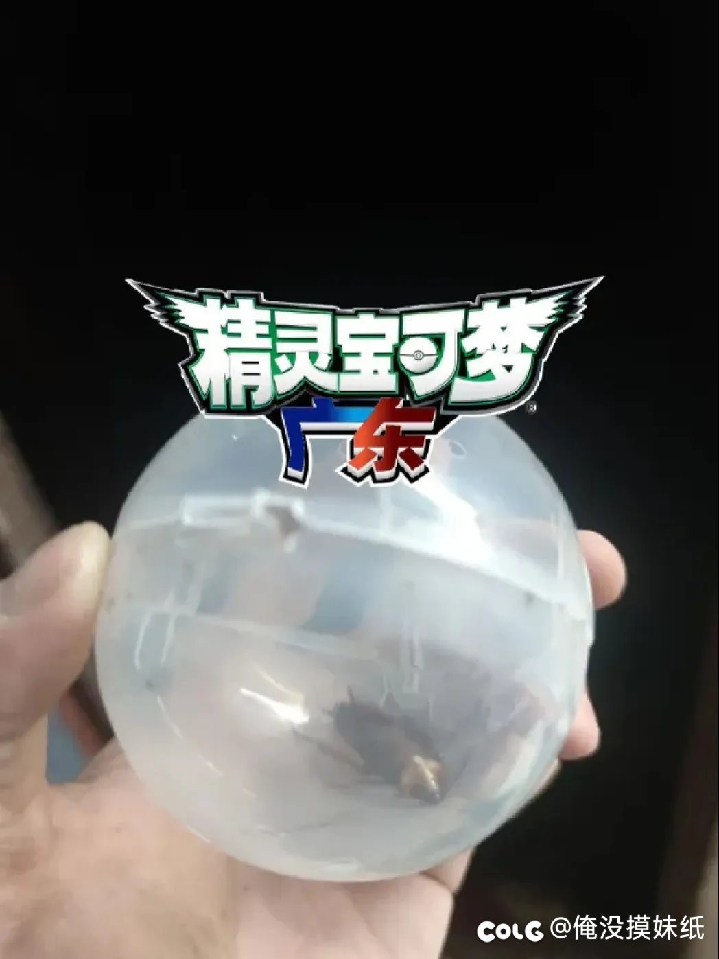 每日一图1