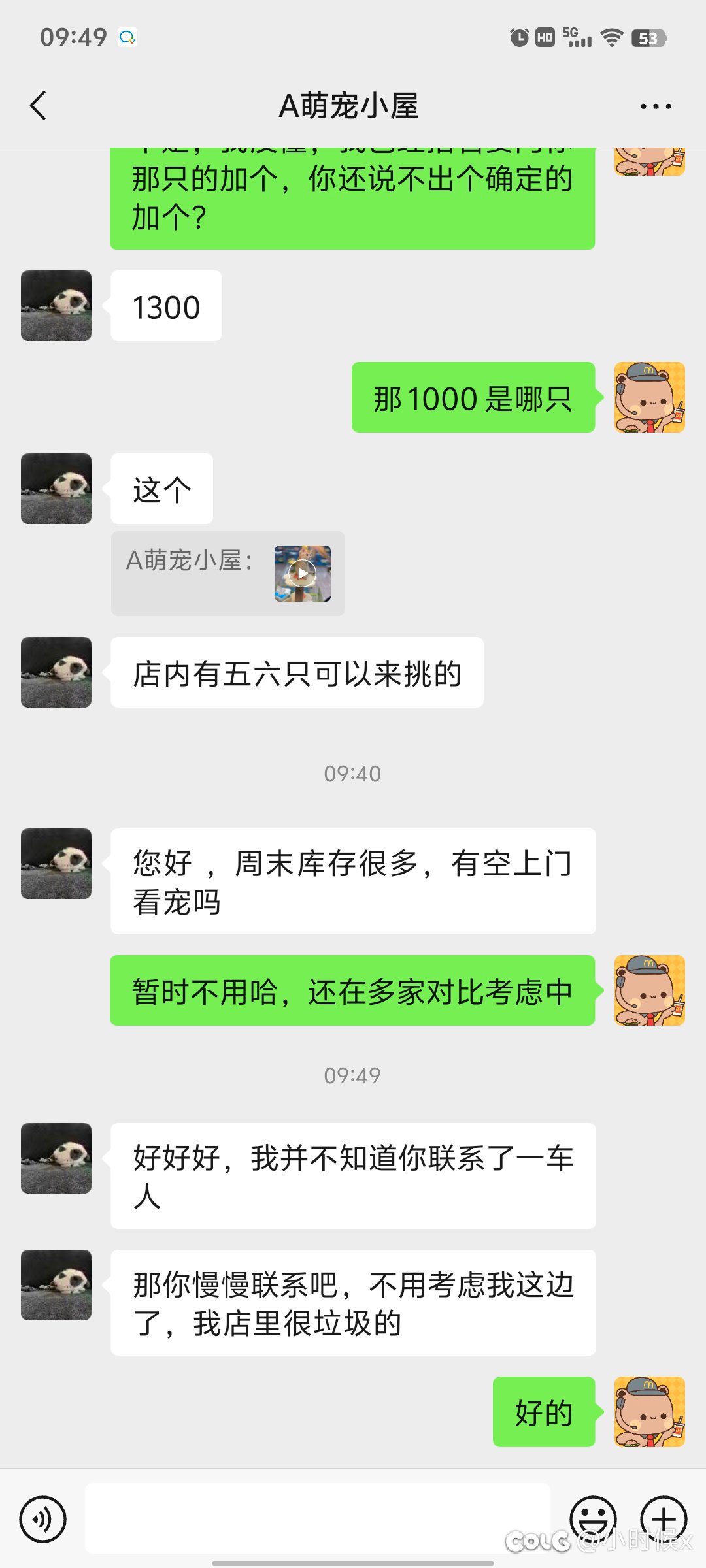 现在宠物店压力这么大吗？逗笑了1