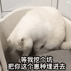 APP进去的广告界面那个摇动手机跳转是特么哪个傻逼想出来的1